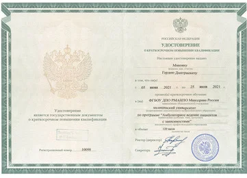 Удостоверение Гордея Дмитриевича о повышении квалификации